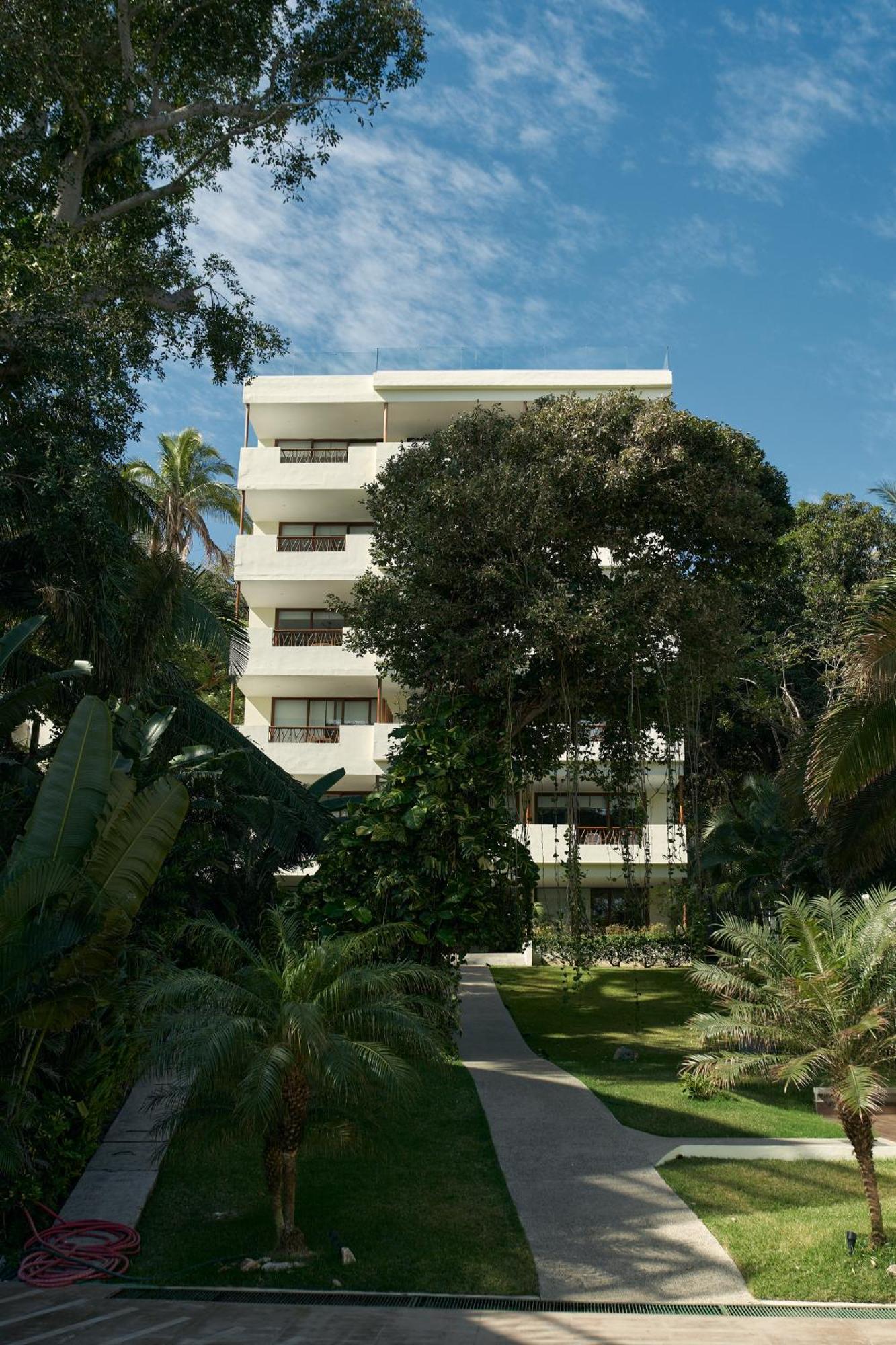 Ysuri Sayulita - Beachfront Hotel Eksteriør billede