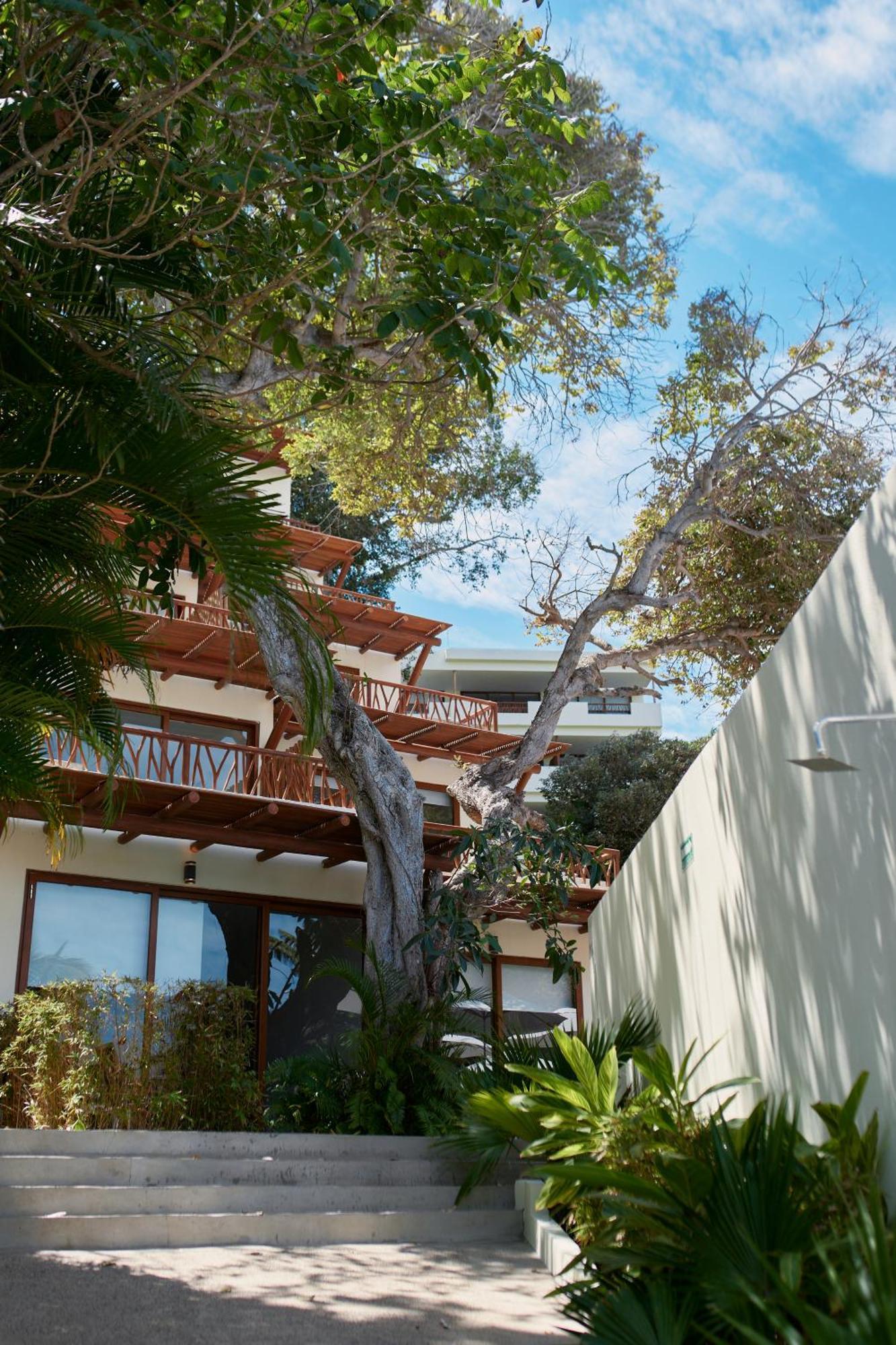 Ysuri Sayulita - Beachfront Hotel Eksteriør billede